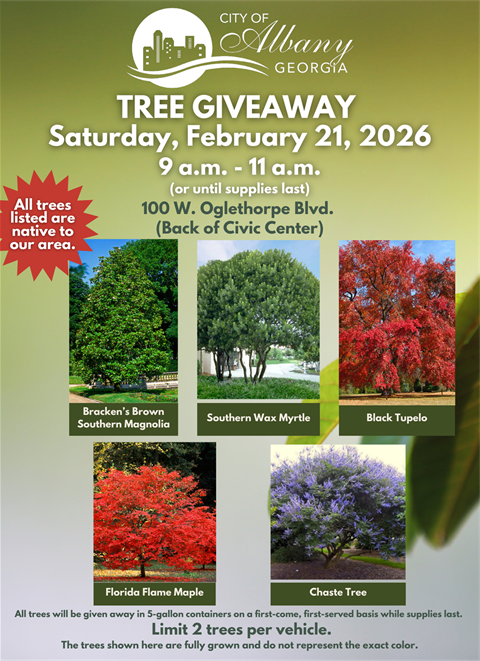 Tree-Giveaway