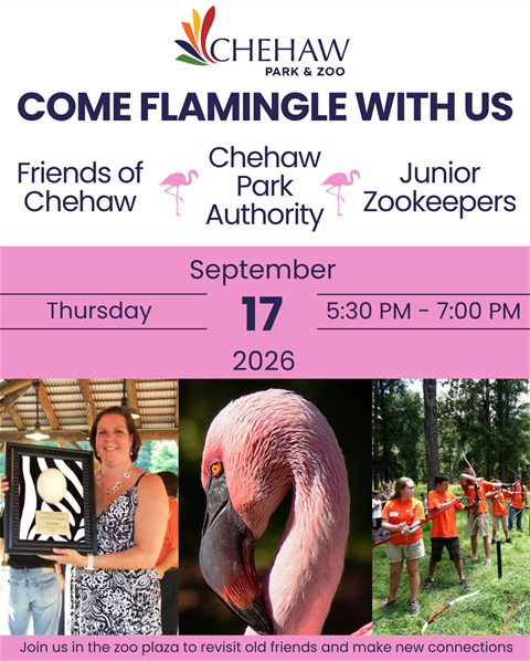 woman holding a plaque, flamingo, and children playing archery